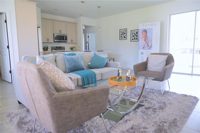 living room featuring sink