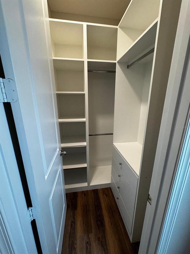 spacious closet featuring dark hardwood / wood-style flooring