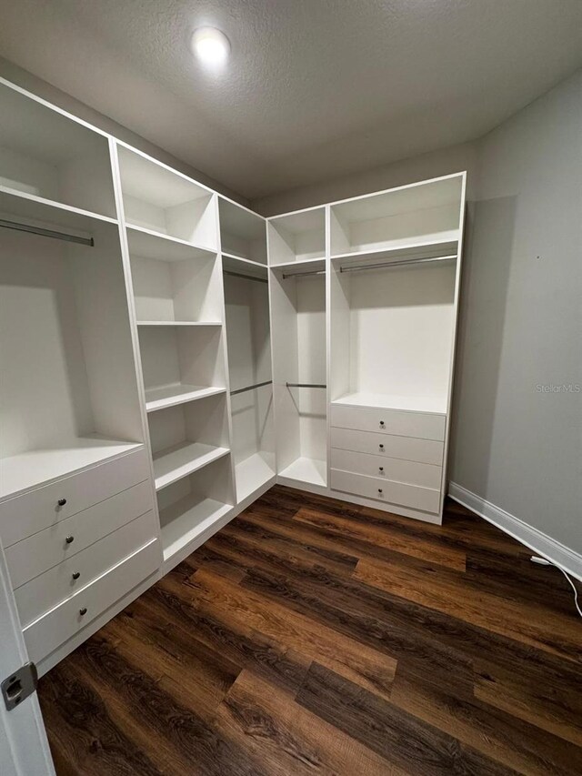 walk in closet featuring dark hardwood / wood-style floors