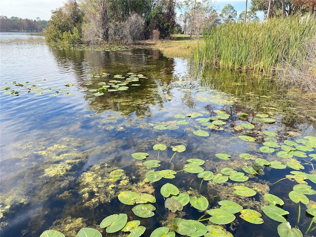 view of water feature