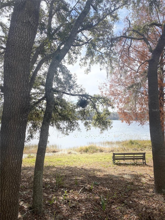 view of property's community with a water view