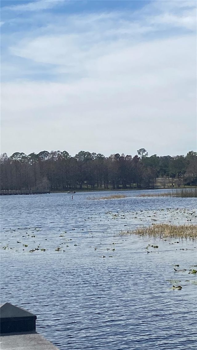 water view featuring a forest view