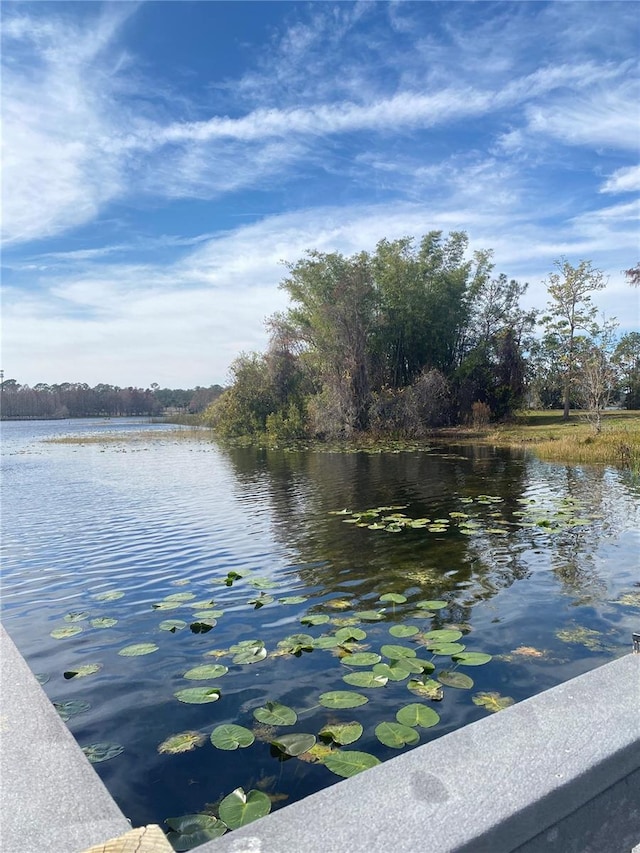 view of water feature
