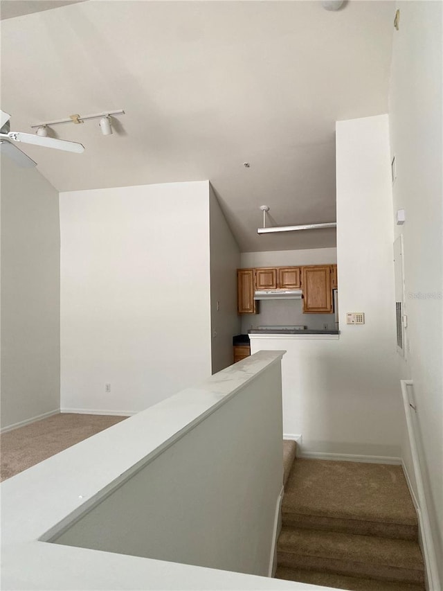 stairway with a ceiling fan, carpet, and baseboards