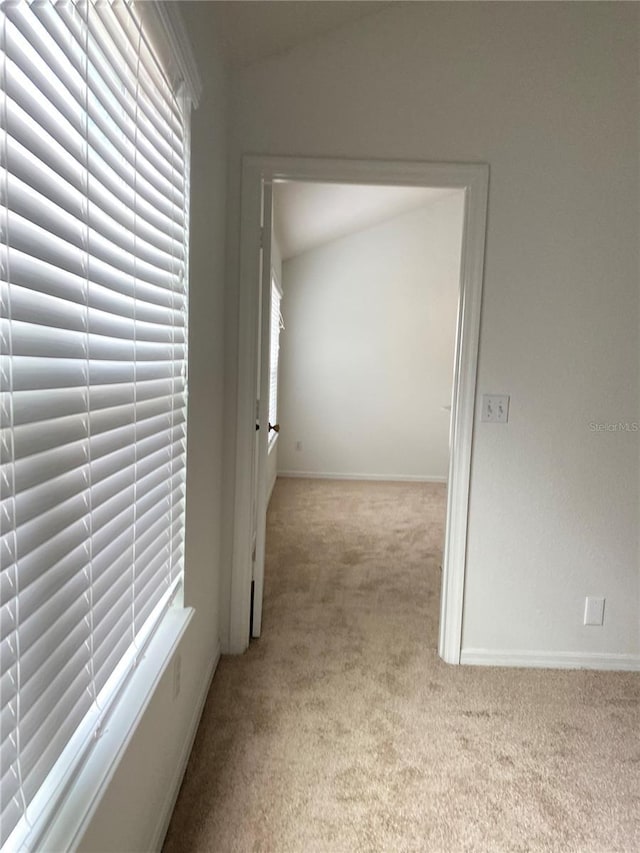 hallway with carpet floors, baseboards, and a healthy amount of sunlight