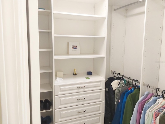 view of walk in closet