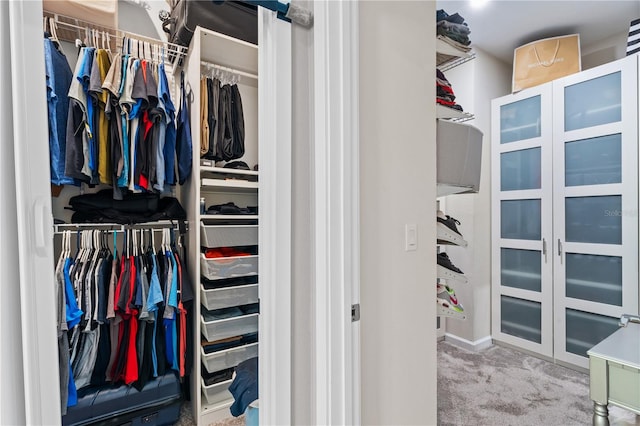 spacious closet featuring carpet