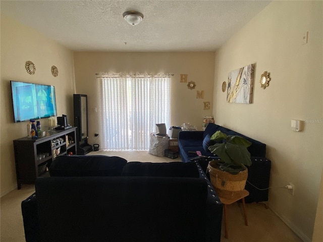 living room with a textured ceiling and carpet floors