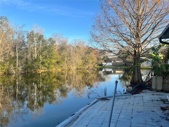 dock area featuring a water view