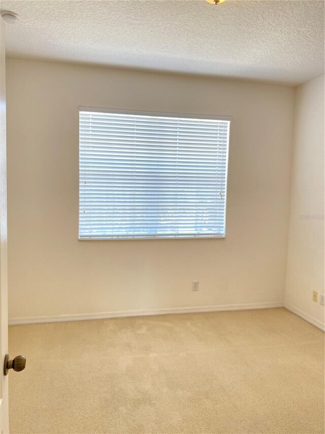 spare room with carpet floors, a textured ceiling, and a wealth of natural light