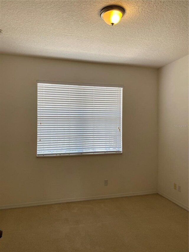 empty room with carpet, a wealth of natural light, and a textured ceiling