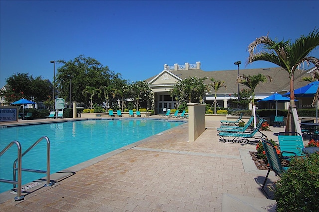 view of swimming pool with a patio