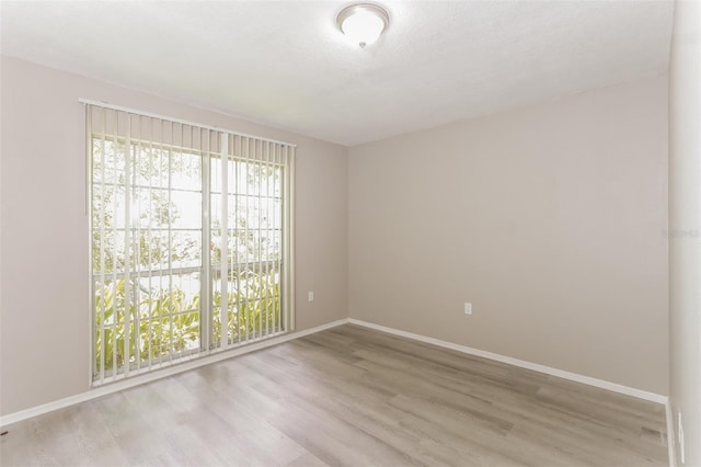 empty room with light wood-type flooring and plenty of natural light