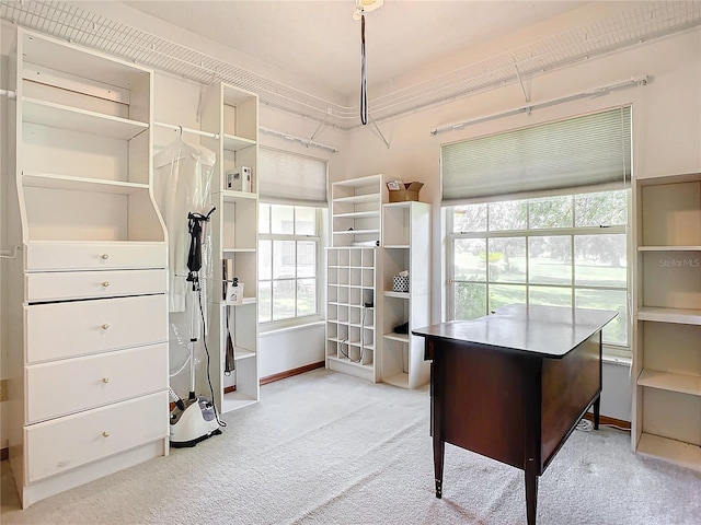 walk in closet with light colored carpet