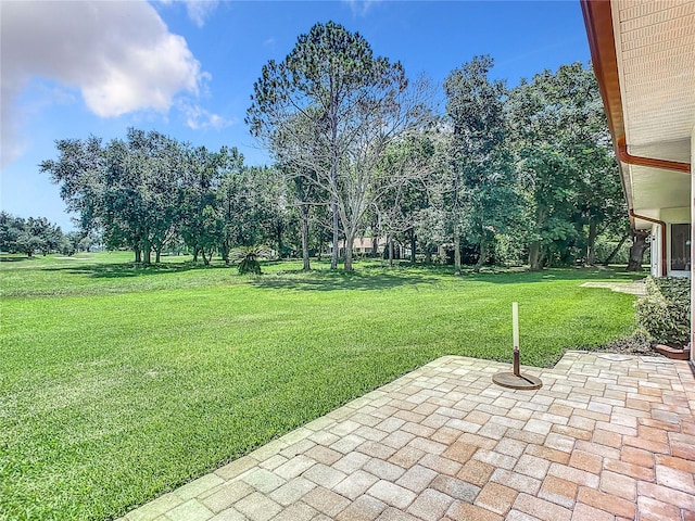 view of yard with a patio