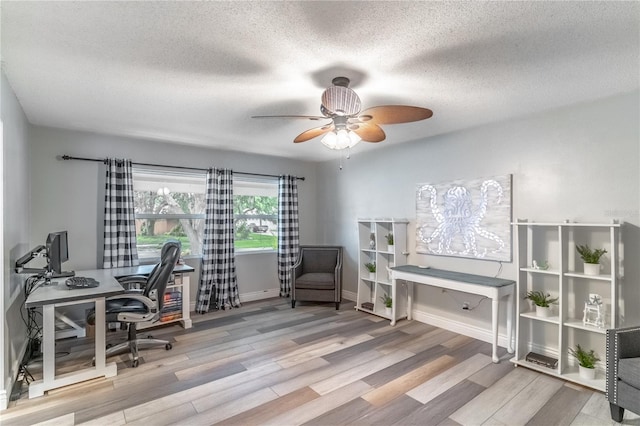 office area featuring ceiling fan, light hardwood / wood-style floors, and a textured ceiling