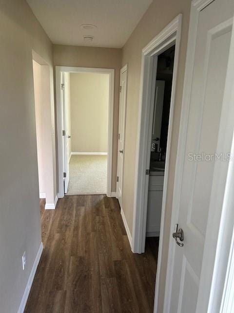 corridor with dark hardwood / wood-style flooring