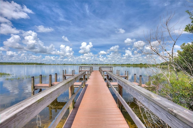 dock area featuring a water view