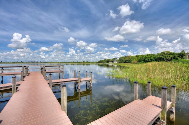 dock area with a water view