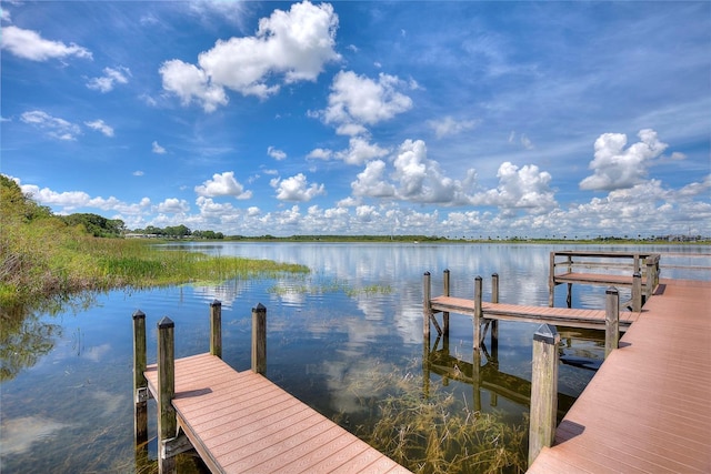 dock area with a water view