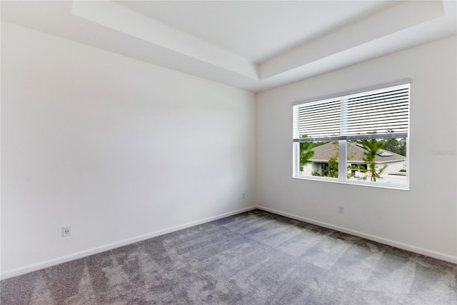 carpeted empty room with a tray ceiling