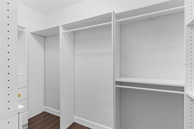 spacious closet with dark hardwood / wood-style floors