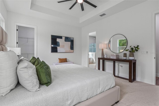 bedroom featuring a closet, a spacious closet, ceiling fan, carpet flooring, and a raised ceiling