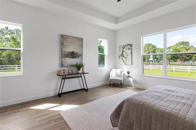 bedroom with light hardwood / wood-style flooring