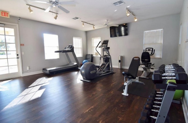 workout room featuring ceiling fan and dark hardwood / wood-style flooring