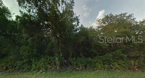 NE 48th Ave, Citra, FL 32113