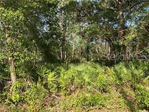 22733 NE 114th Ave, Fort Mc Coy FL, 32134 land for sale