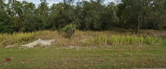 448 Naples Ct, Kissimmee FL, 34759 land for sale