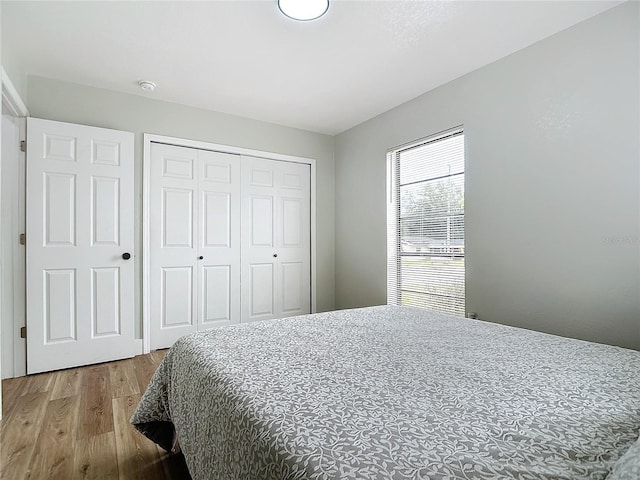 bedroom with wood-type flooring and a closet