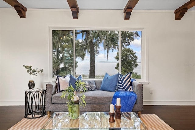 living room with beamed ceiling, hardwood / wood-style flooring, and a wealth of natural light