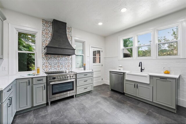 kitchen with appliances with stainless steel finishes, a wealth of natural light, sink, and custom range hood