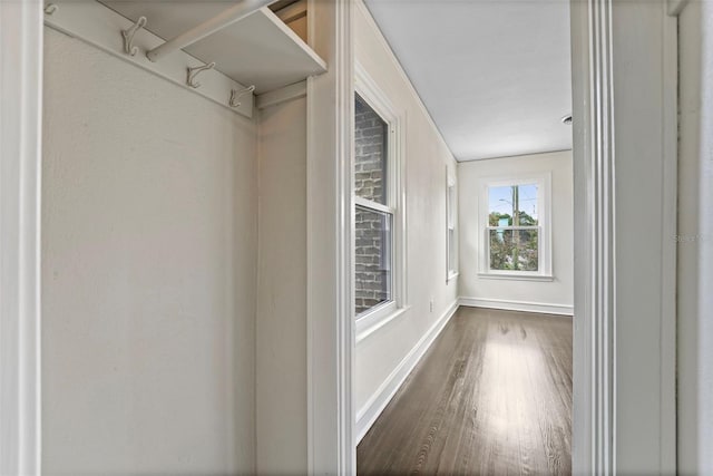 walk in closet featuring wood finished floors