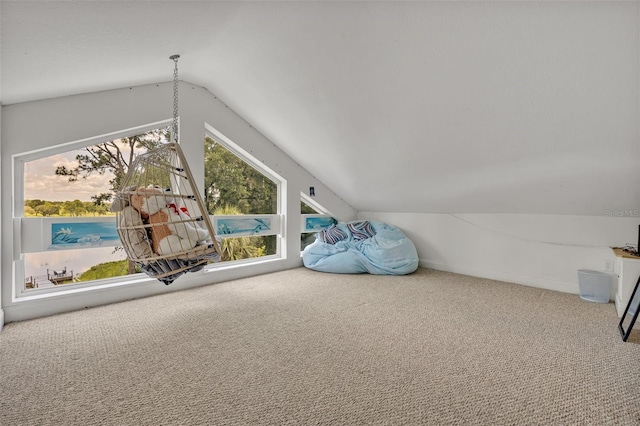 additional living space featuring carpet and vaulted ceiling