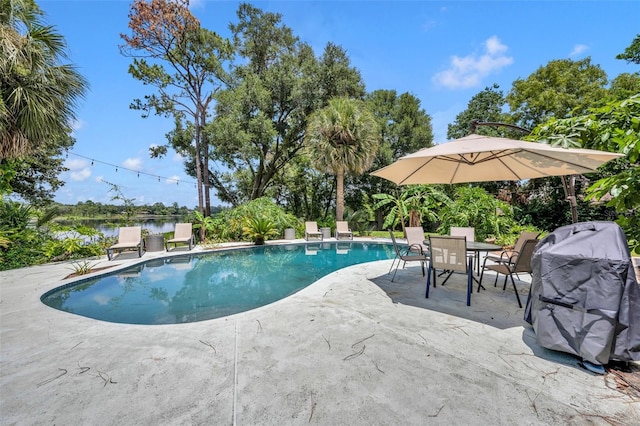 view of swimming pool with a water view, a patio area, and a grill