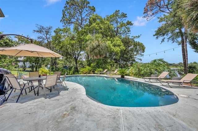 view of swimming pool featuring a patio