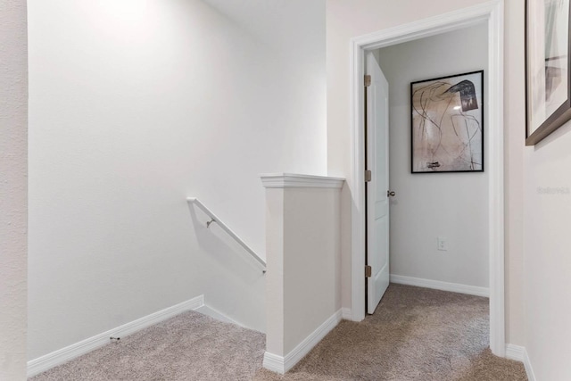 staircase with carpet flooring