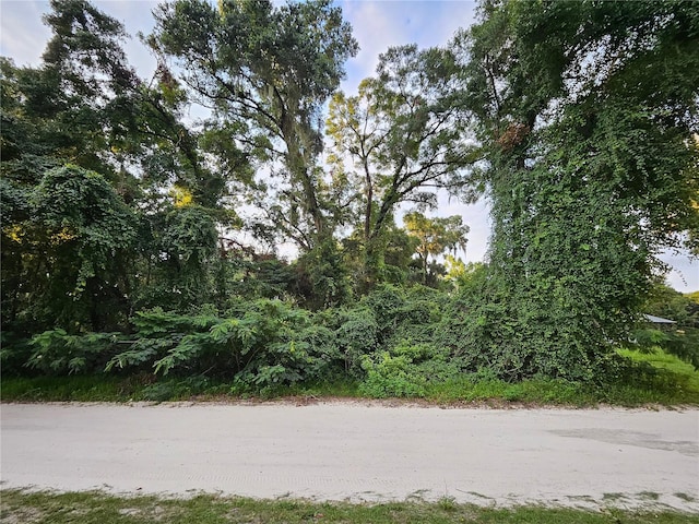 Se 131 Place, Belleview FL, 34421 land for sale