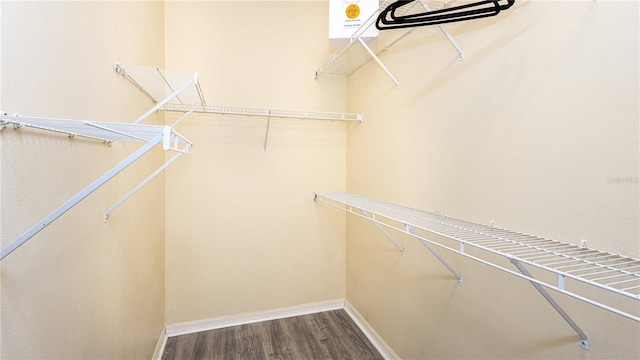 spacious closet featuring wood-type flooring