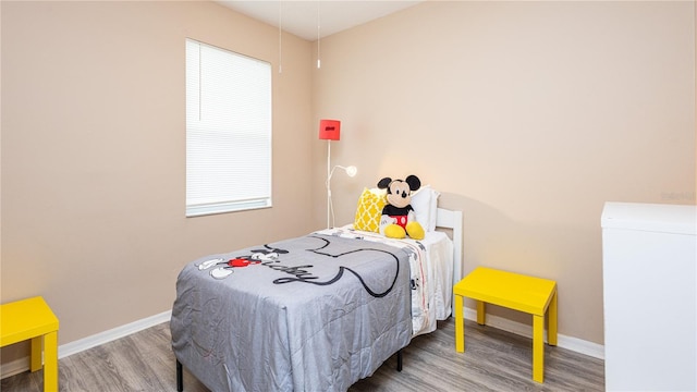 bedroom with multiple windows and wood-type flooring