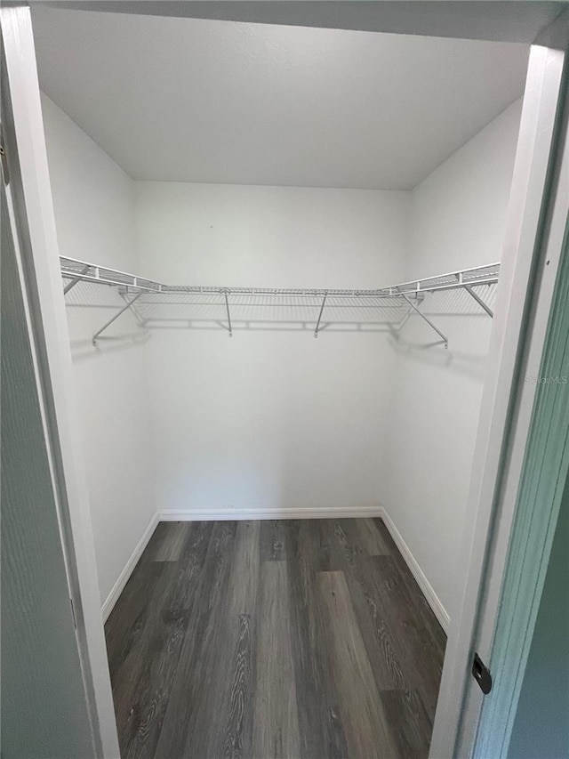 walk in closet with dark hardwood / wood-style floors