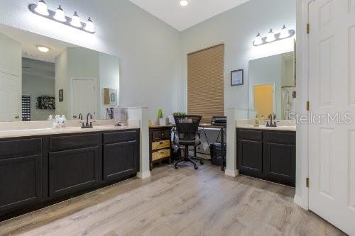 bathroom with wood-type flooring and vanity