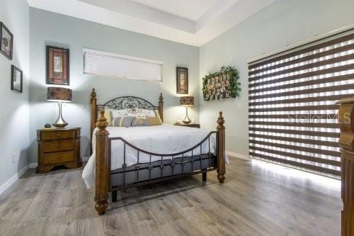 bedroom featuring wood-type flooring and a raised ceiling