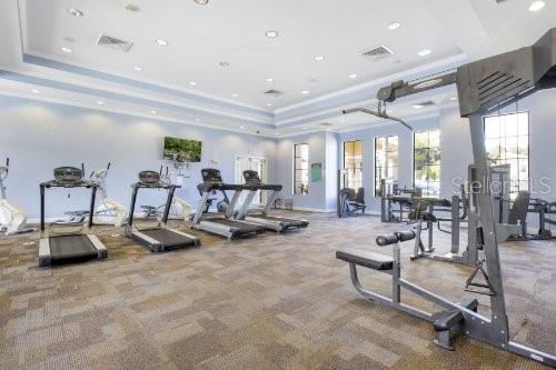 gym featuring carpet floors and a tray ceiling