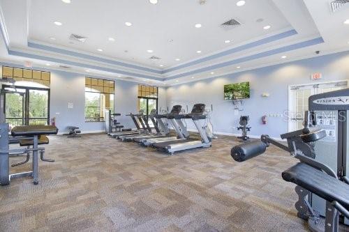 exercise room featuring a raised ceiling and carpet floors