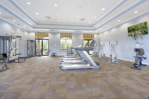 gym with a towering ceiling, a raised ceiling, and light colored carpet