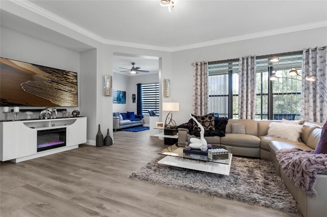 living room featuring ceiling fan, wood-type flooring, and ornamental molding